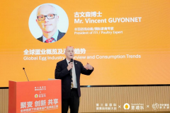 汇聚全球聪慧共探财产新质出产力第三届国际蛋